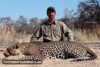 Ngwarati Safaris Africa offers Dangerous Game Hunting - Image 8 of 12
