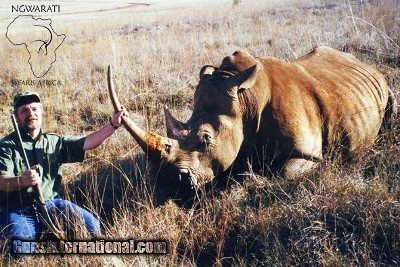 Ngwarati Safaris Africa offers Dangerous Game Hunting - Image 11 of 12