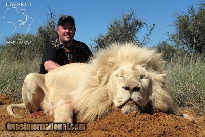 Ngwarati Safaris Africa offers Dangerous Game Hunting - Image 7 of 12