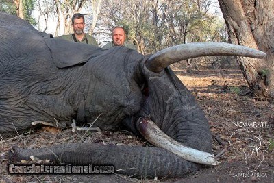 Ngwarati Safaris Africa offers Dangerous Game Hunting - Image 3 of 12