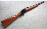 Winchester 1885 Trapper .45/70 - 1 of 7