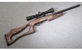 Ruger 10/22 w/ Adams & Bennett Match Grade Barrel - 1 of 8