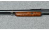 Winchester ~ Model 1906 ~ .22 LR - 7 of 9