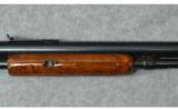 Winchester ~ Model 1906 ~ .22 LR - 4 of 11