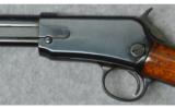 Winchester ~ Model 1906 ~ .22 LR - 8 of 11