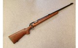 Remington ~ 40-X U.S. marked ~ .22 Lr - 1 of 15