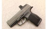 Sig Sauer ~ P365X ~ 9mm Luger - 2 of 5