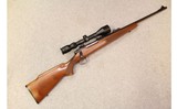 Remington ~ 700 ~ .30-06 Sprg - 1 of 12