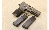 Sig Sauer ~ P250 ~ .45 Auto - 5 of 5