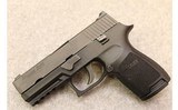 Sig Sauer ~ P250 ~ .45 Auto - 2 of 5