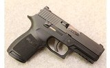 Sig Sauer ~ P250 ~ .45 Auto - 1 of 5