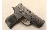 Sig Sauer ~ P320 Subcompact ~ 9mm Luger - 1 of 5