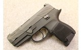 Sig Sauer ~ P320 Subcompact ~ 9mm Luger - 2 of 5
