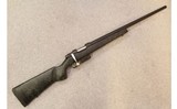 CZ ~ 527 Varmint ~ .204 Ruger - 1 of 14