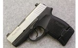 SIG Sauer ~ P290RS ~ 9mm Luger - 2 of 5