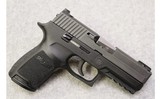 SIG Sauer ~ P250 ~ .45 Auto - 1 of 6