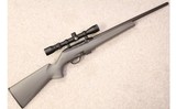 Remington ~ 597 ~ .22 LR - 1 of 12