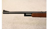 Daisy ~ Model 2213 ~ .22 LR - 7 of 11
