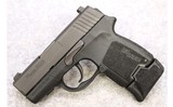 SIG Sauer ~ P290RS ~ 9mm Luger - 2 of 4