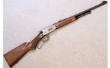 Winchester ~ Model 9410 ~ .410 Bore - 1 of 14