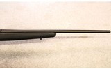 Savage ~ B-Mag ~ .17 WSM - 4 of 8