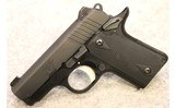 Kimber ~ Micro Carry ~ .380 ACP - 2 of 4