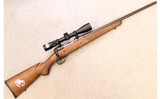 Savage ~ Model 10 ~ .308 Win - 1 of 11