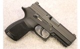 SIG Sauer ~ P250 Compact ~ .45 Auto - 1 of 4