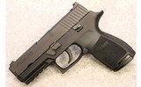 SIG Sauer ~ P250 Compact ~ .45 Auto - 2 of 4