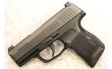 SIG Sauer ~ P365 ~ 9mm Luger - 2 of 3
