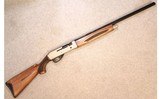 Legacy Sports ~ Pointer FT3 ~ 20 Gauge