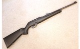 Remington ~ 597 Magnum ~ .22 WMR