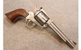 Ruger ~ New Model Blackhawk ~ .357 Mag - 1 of 5