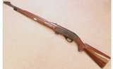 Remington ~ Nylon 77 ~ .22 LR - 2 of 10