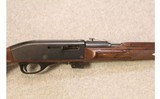 Remington ~ Nylon 77 ~ .22 LR - 4 of 10