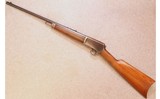 Winchester ~ Model 03 ~ .22 Automatic - 2 of 12