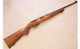 Ruger ~ 10/22 ~ .22 LR
