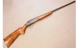 Sears & Roebuck ~ Model 101.40 ~ 20 GA