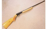 Browning ~ SA-22 ~ .22 Short