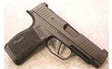 SIG SAUER ~ P365 X ~ 9MM - 1 of 3