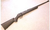 Marlin ~ XT-22 ~ .22 Long Rifle - 1 of 10