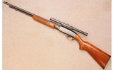 Remington ~ 572 Fieldmaster ~ .22 LR - 2 of 10