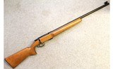 Remington ~ M541 X Target ~ .22 LR