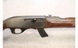 Remington ~ Nylon 77 ~ .22 LR - 4 of 11