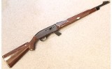 Remington ~ Nylon 77 ~ .22 LR - 1 of 11