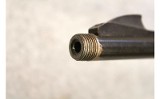 Remington ~ Nylon 77 ~ .22 LR - 6 of 11