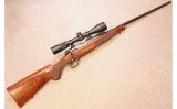 Winchester ~ Model 70 ~ .243 WSSW