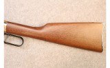 Henry ~ Model H004SAT ~ .22LR - 9 of 10
