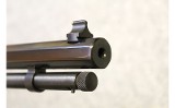 Henry ~ Silver Eagle H004SEM ~ .22 Mag - 6 of 11