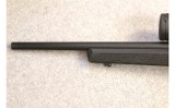 Springfield Armory ~ 2020 Rimfire Target ~ .22 LR - 7 of 10